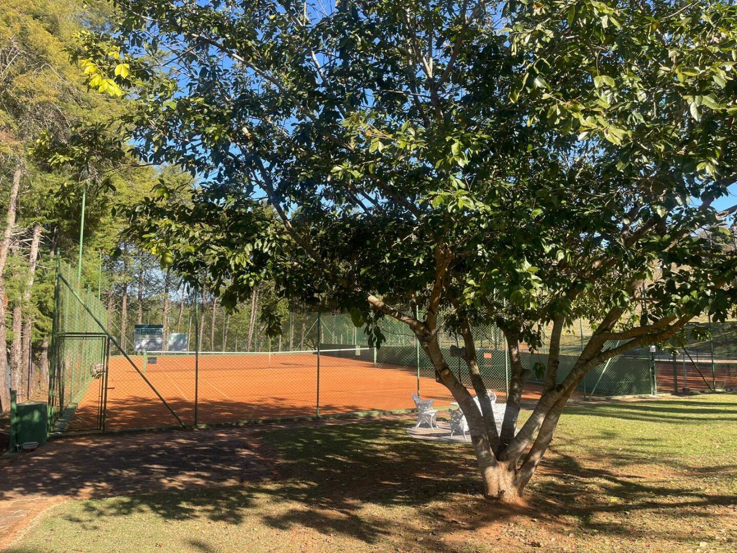 Casa, 4 quartos, 390 m² - Foto 4