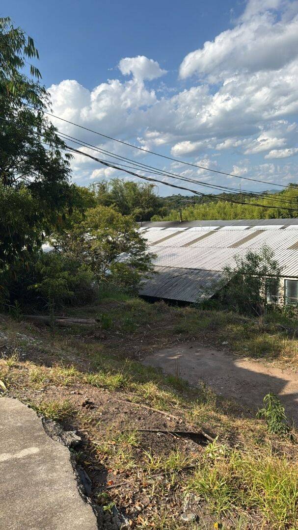 Depósito-Galpão, 5800 m² - Foto 8