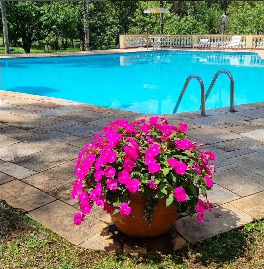 Sítio, 3 quartos, 10 hectares - Foto 6