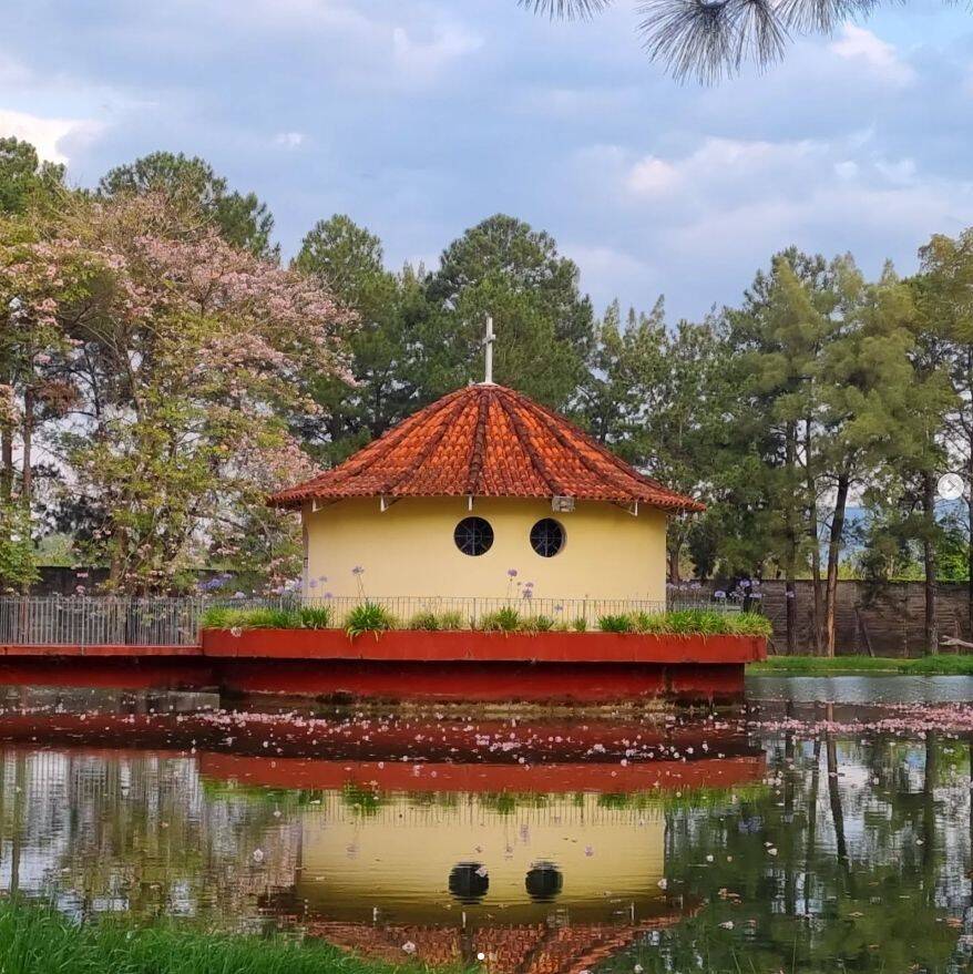 Sítio, 3 quartos, 10 hectares - Foto 7