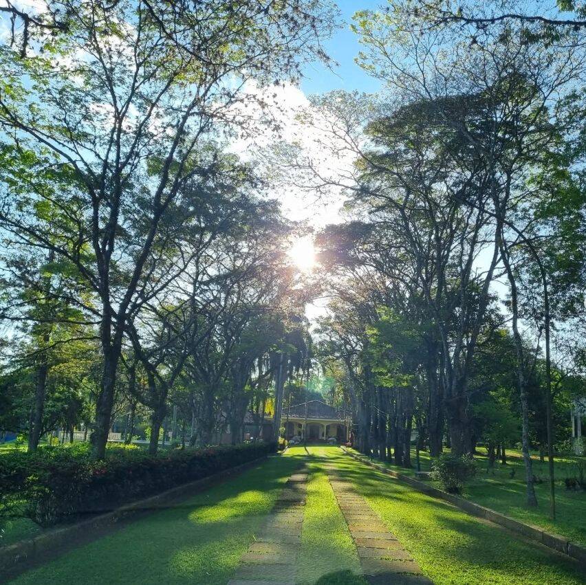 Sítio, 3 quartos, 10 hectares - Foto 16