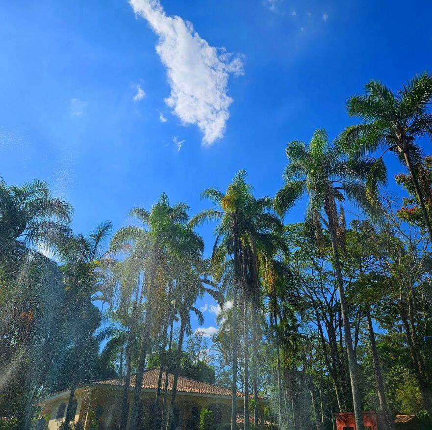 Sítio, 3 quartos, 10 hectares - Foto 23