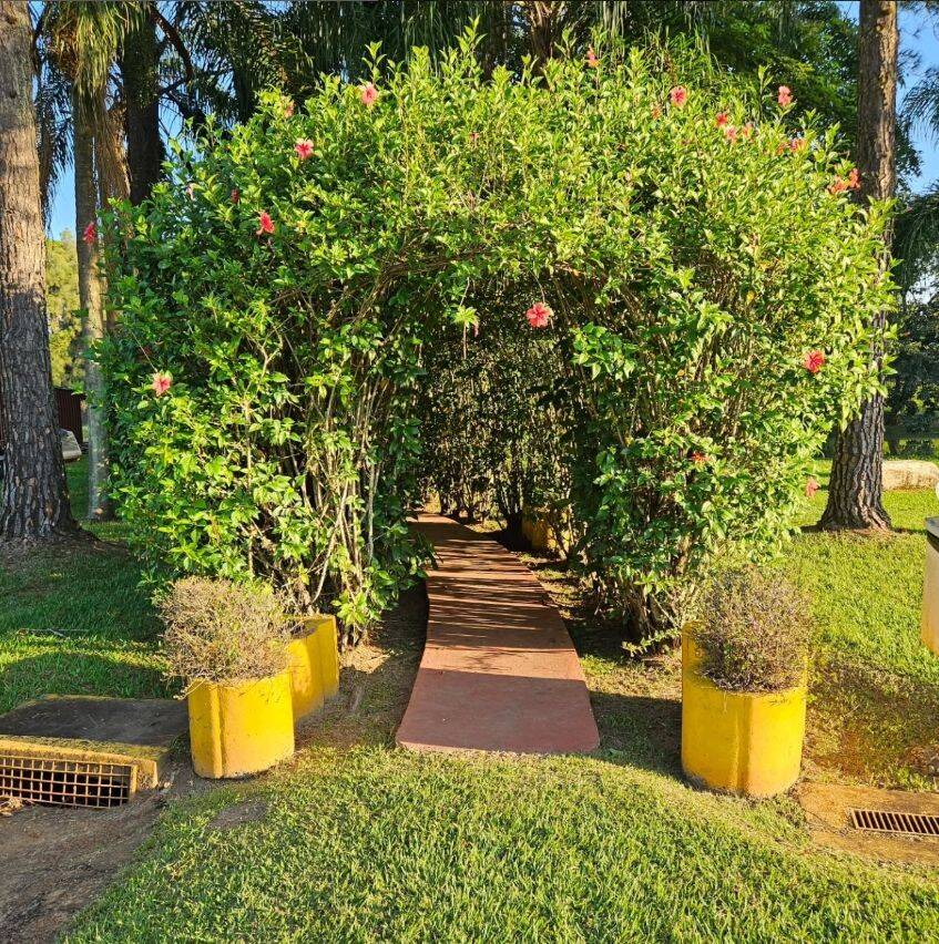 Sítio, 3 quartos, 10 hectares - Foto 24