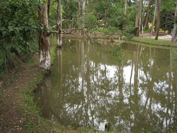 Sítio, 3 quartos, 10 hectares - Foto 37