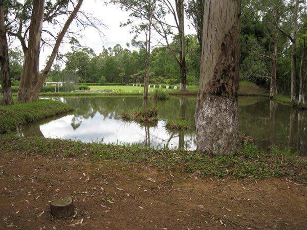 Sítio, 3 quartos, 10 hectares - Foto 38