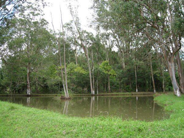 Sítio, 3 quartos, 10 hectares - Foto 39