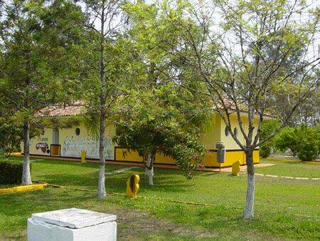 Sítio, 3 quartos, 10 hectares - Foto 45