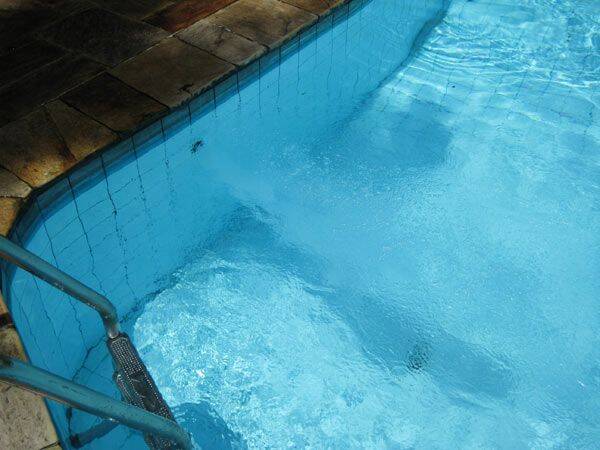 Sítio, 3 quartos, 10 hectares - Foto 49