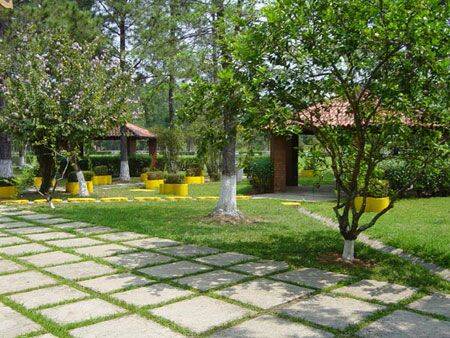 Sítio, 3 quartos, 10 hectares - Foto 57