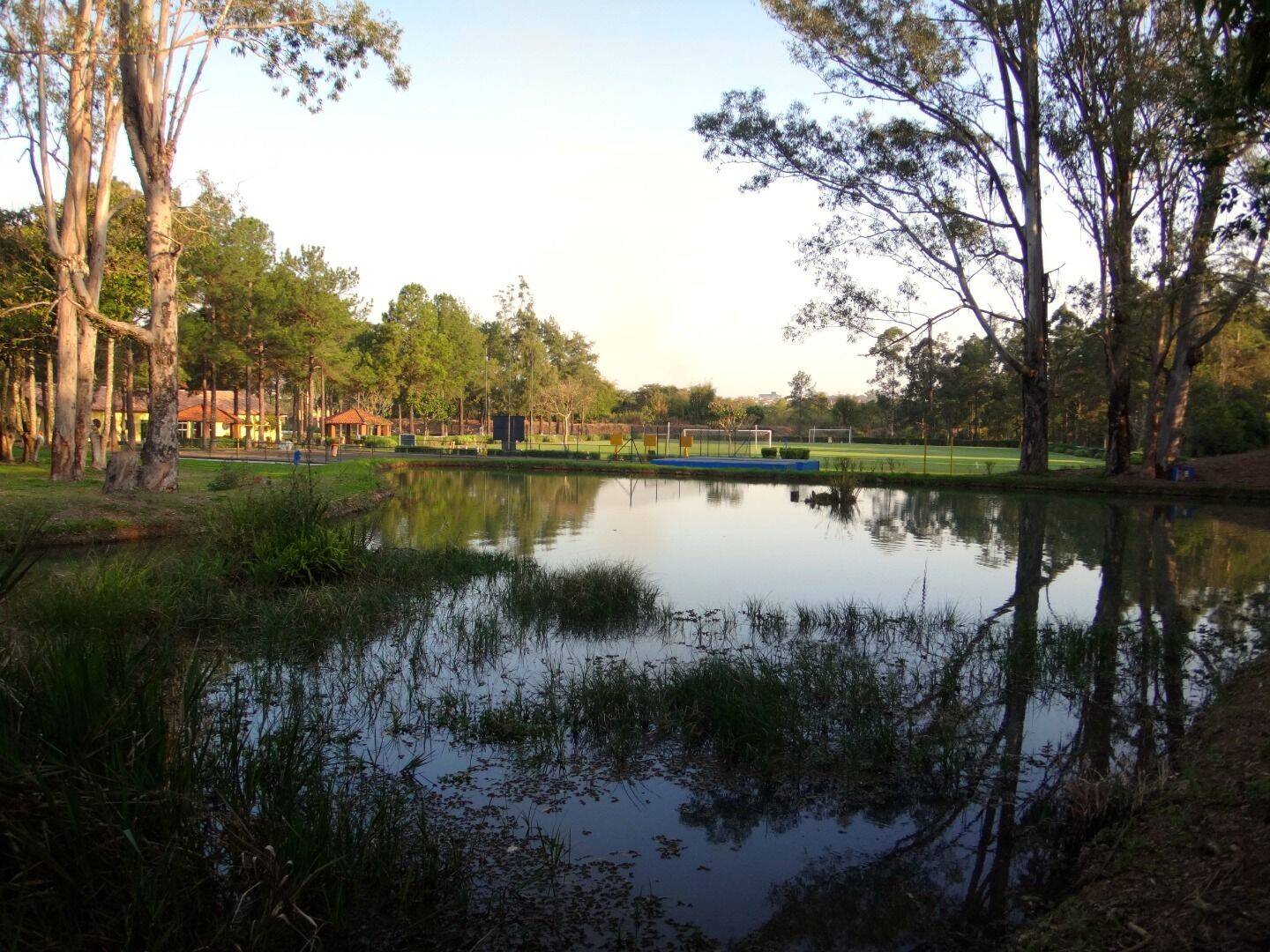 Sítio, 3 quartos, 10 hectares - Foto 87