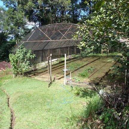 Sítio, 4 quartos, 4 hectares - Foto 12