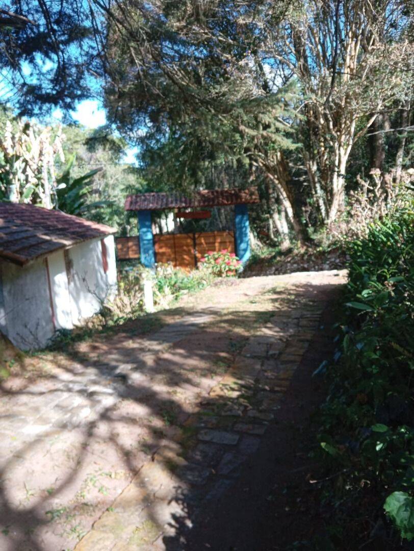 Sítio, 4 quartos, 4 hectares - Foto 48