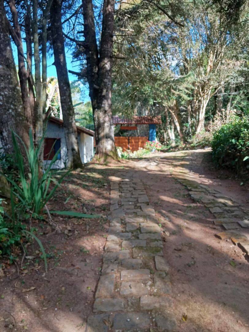 Sítio, 4 quartos, 4 hectares - Foto 61