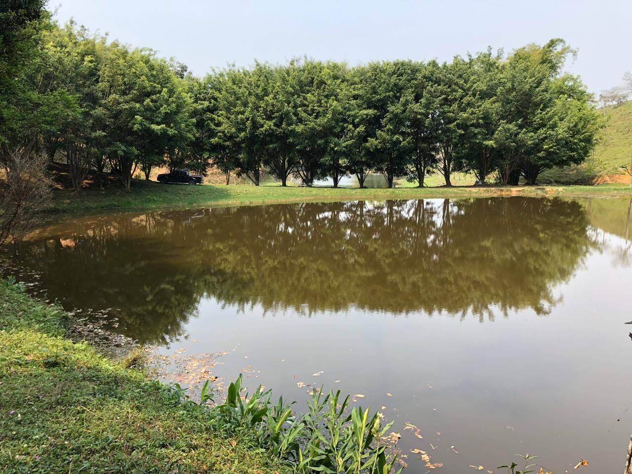 Sítio, 30 quartos, 34 hectares - Foto 11