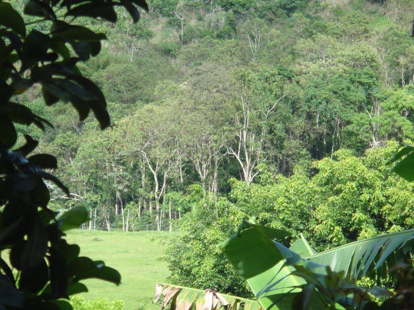 Sítio, 30 quartos, 34 hectares - Foto 13