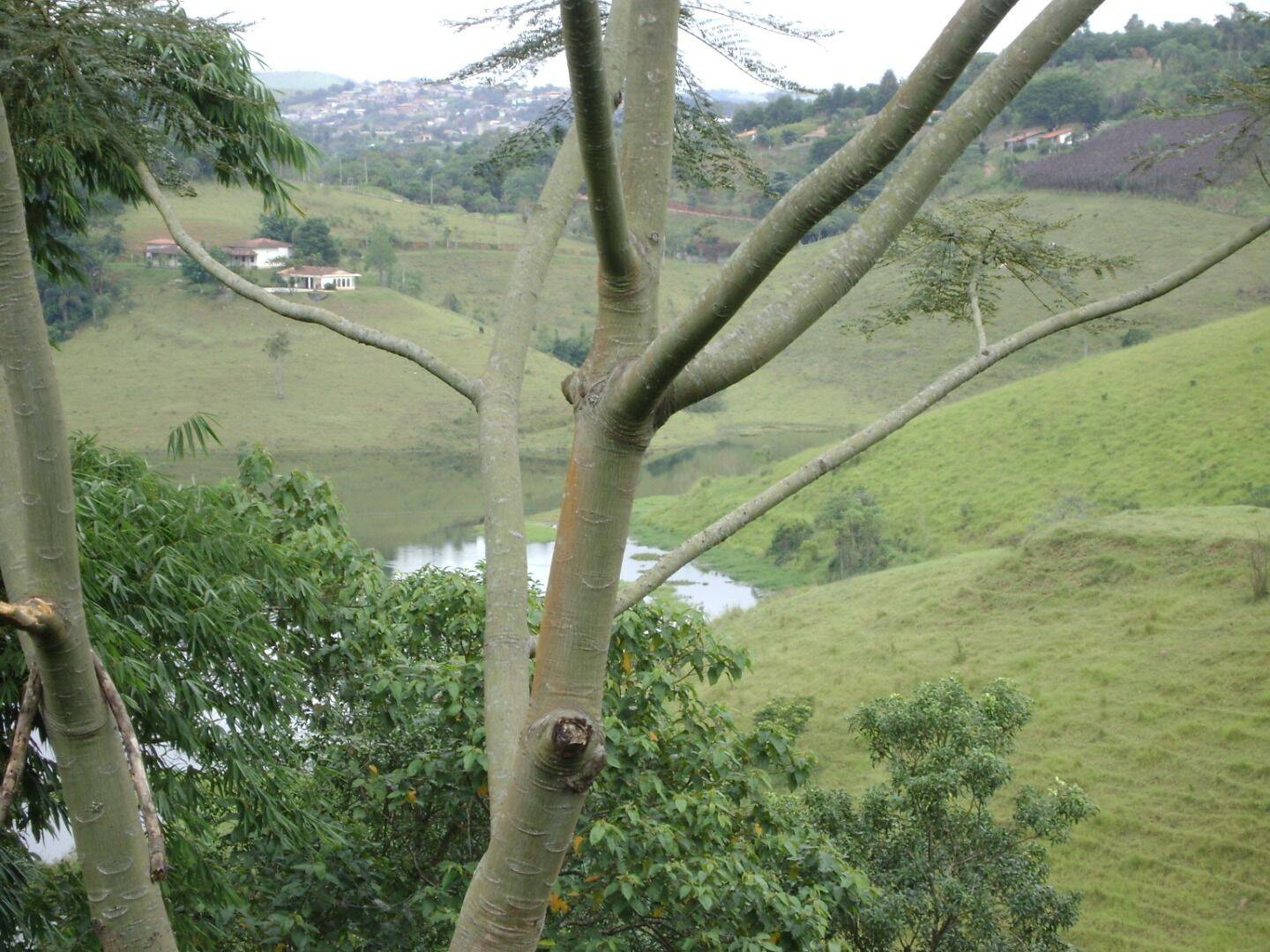 Sítio, 30 quartos, 34 hectares - Foto 14