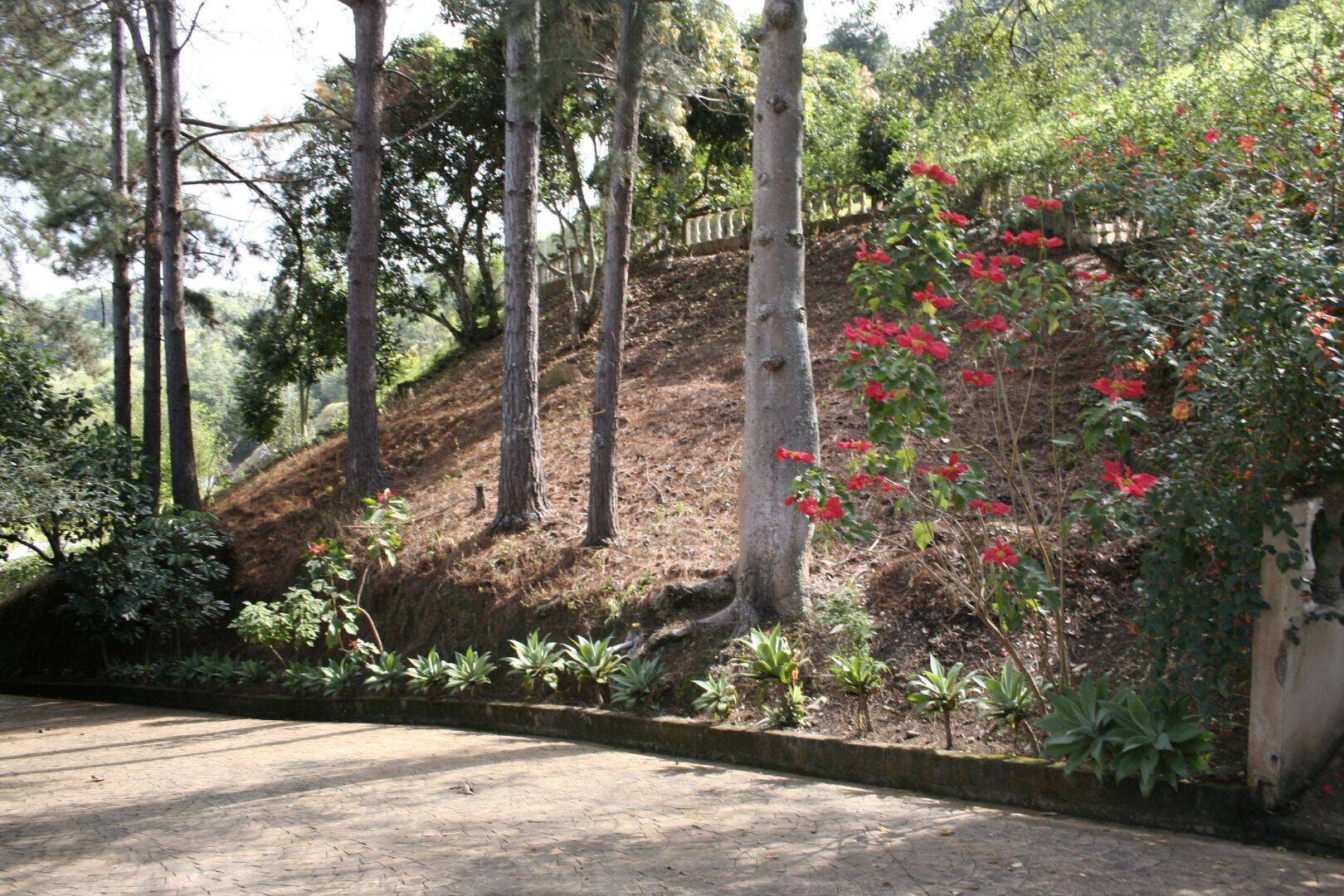 Sítio, 30 quartos, 34 hectares - Foto 35