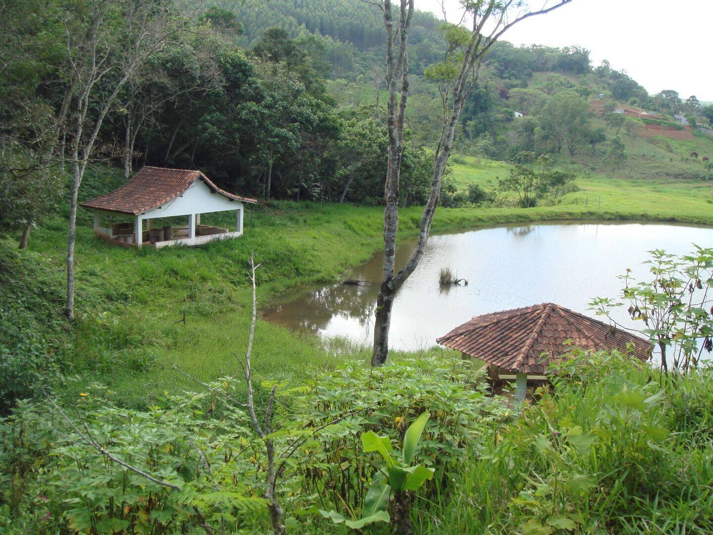 Sítio, 30 quartos, 34 hectares - Foto 61