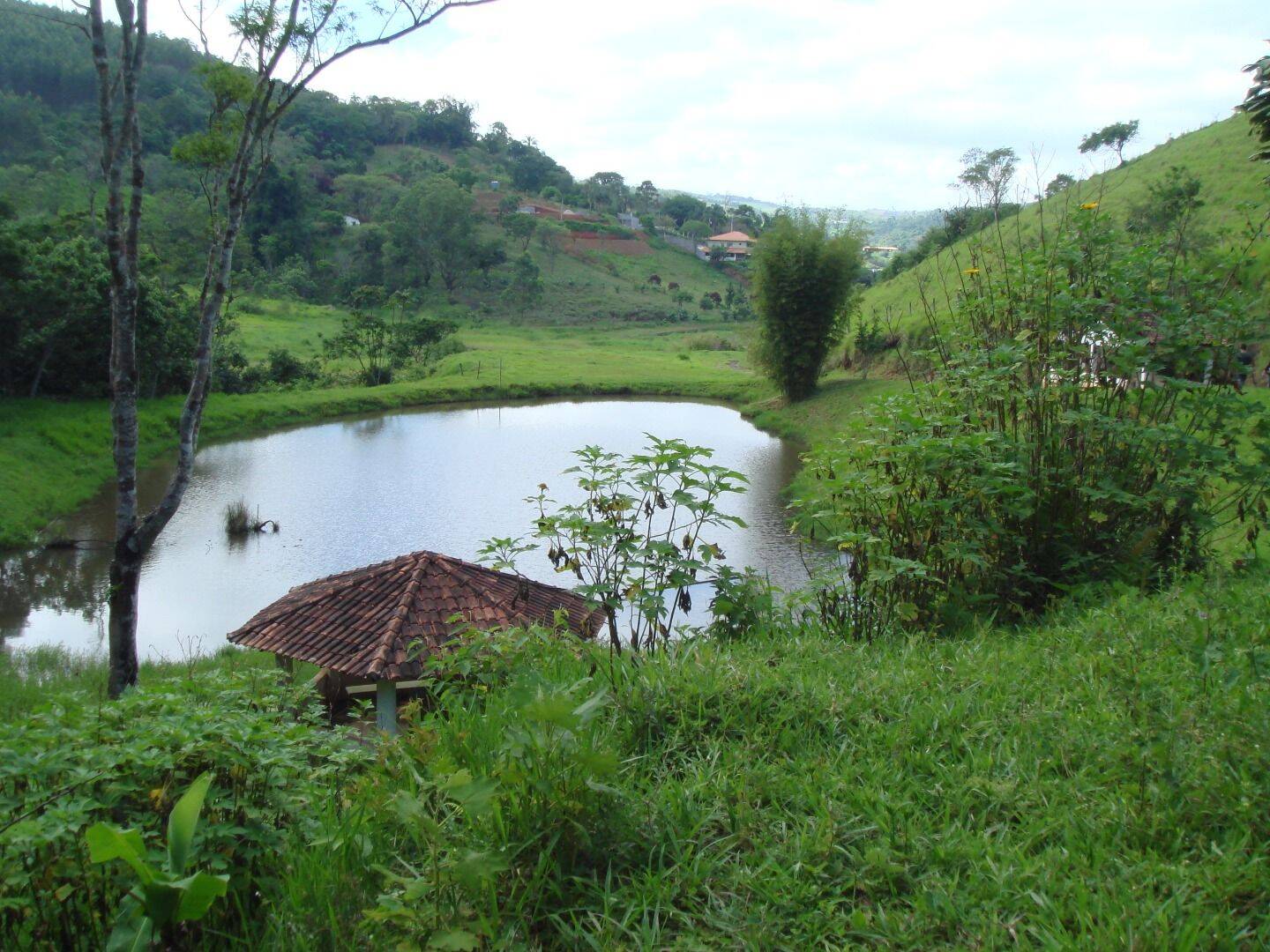 Sítio, 30 quartos, 34 hectares - Foto 64