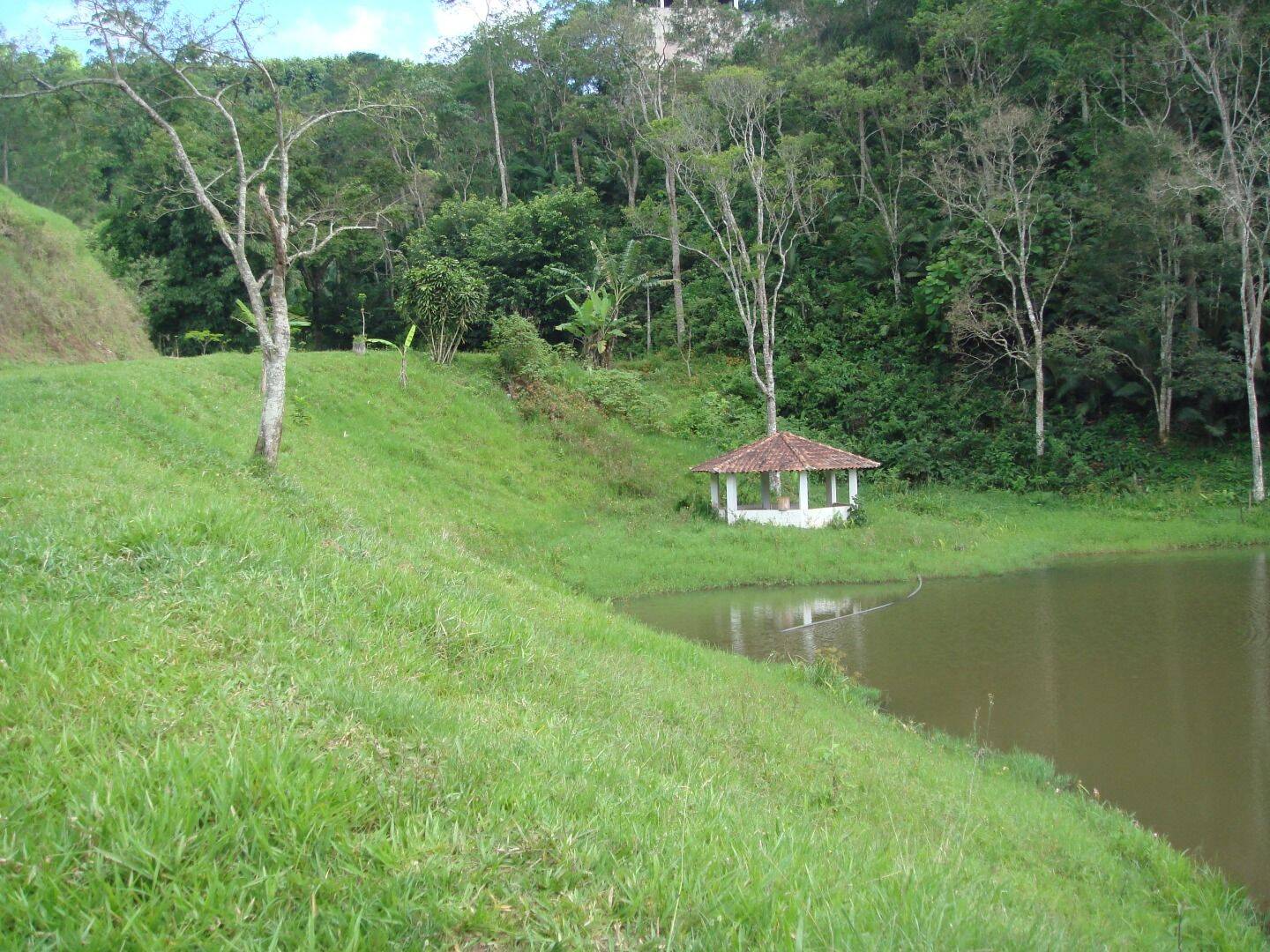 Sítio, 30 quartos, 34 hectares - Foto 67