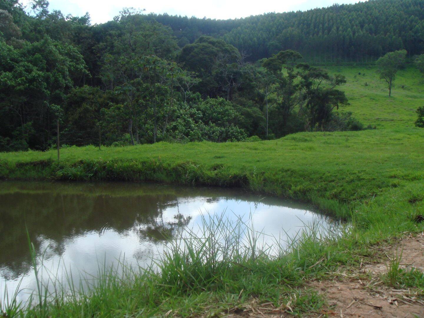 Sítio, 30 quartos, 34 hectares - Foto 68