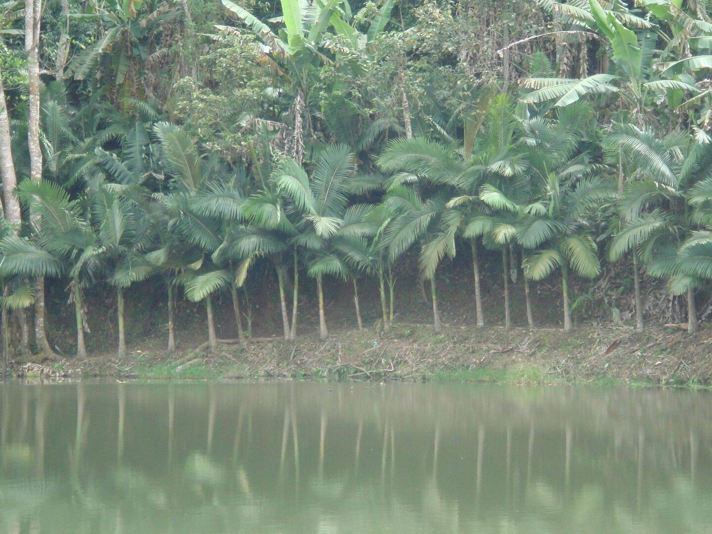 Sítio, 30 quartos, 34 hectares - Foto 73