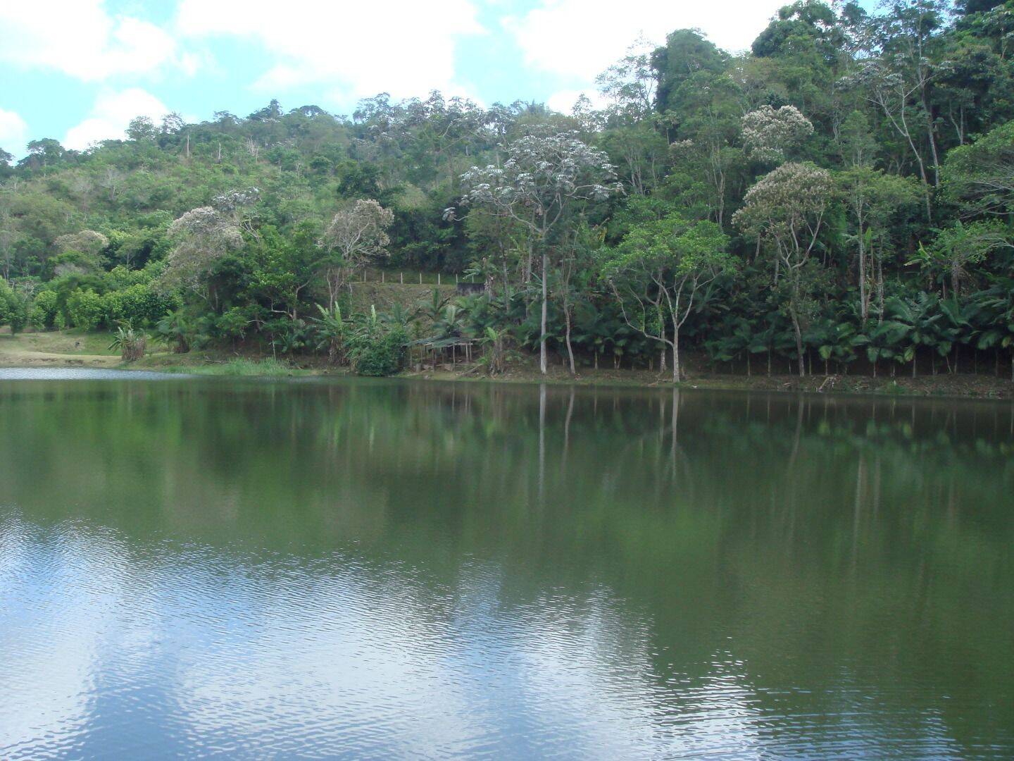 Sítio, 30 quartos, 34 hectares - Foto 74