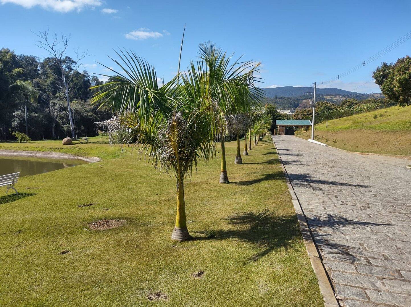 Terreno, 2 hectares - Foto 2