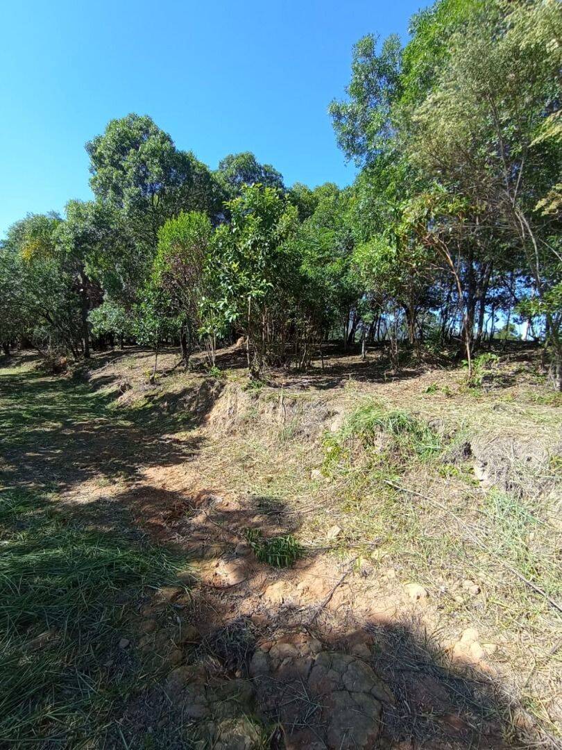 Terreno, 2 hectares - Foto 3