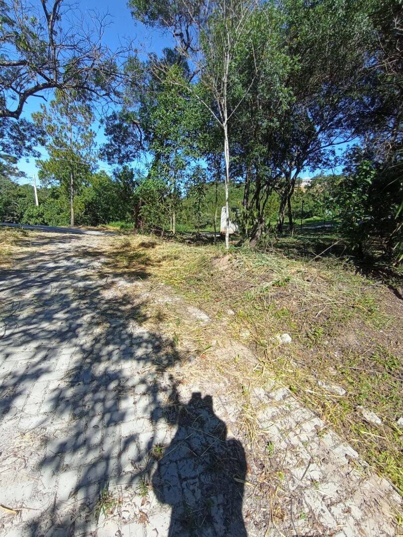 Terreno, 2 hectares - Foto 7