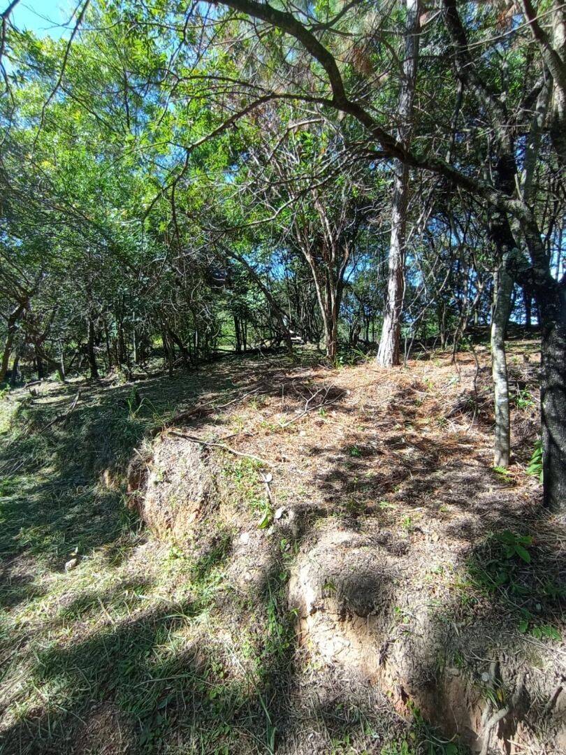 Terreno, 2 hectares - Foto 10