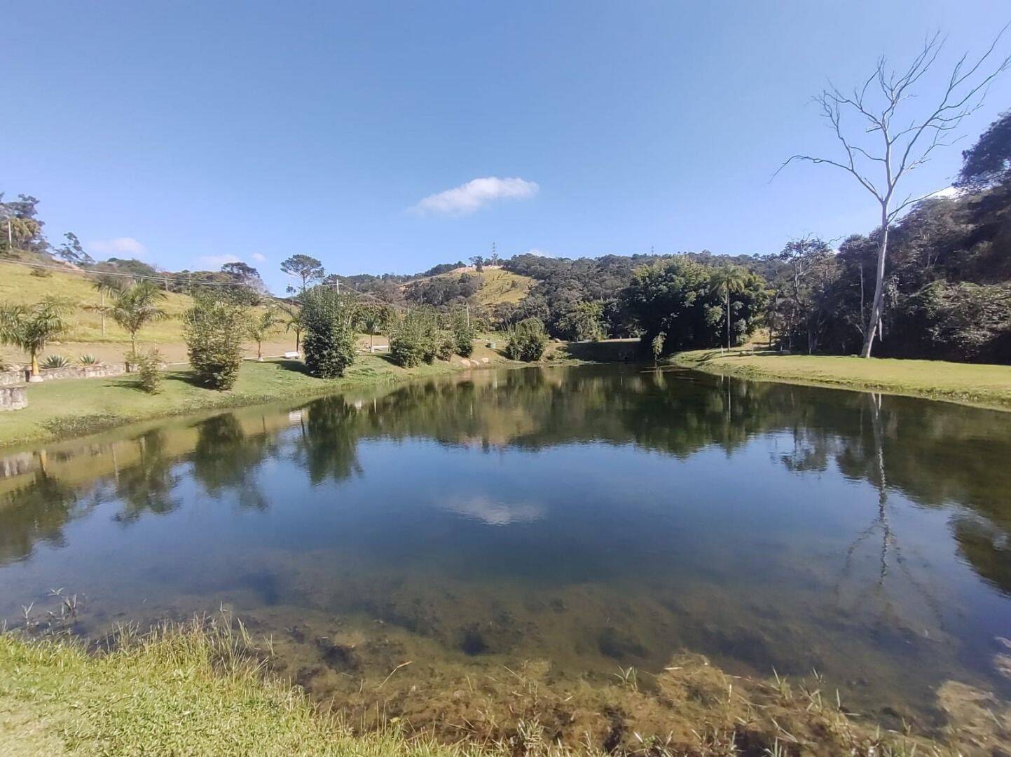 Terreno, 2 hectares - Foto 12