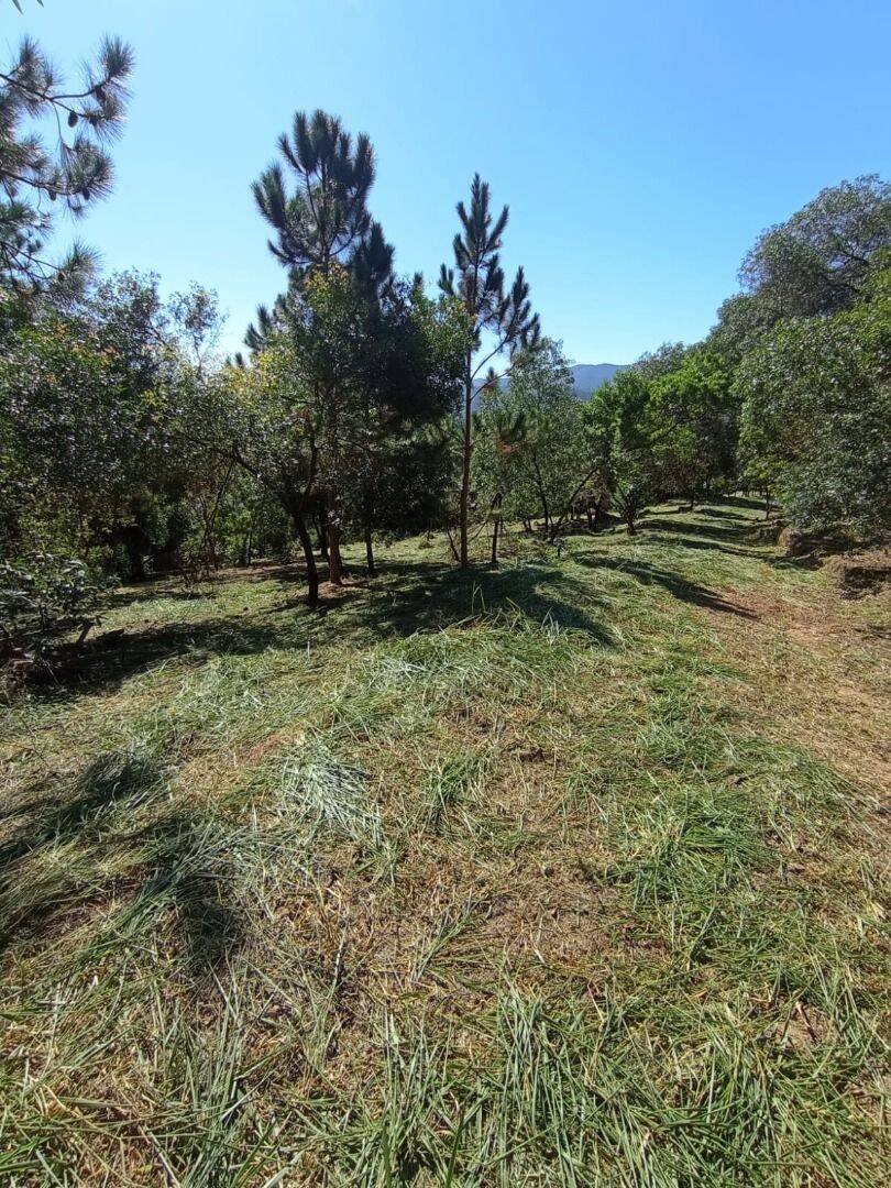Terreno, 2 hectares - Foto 13