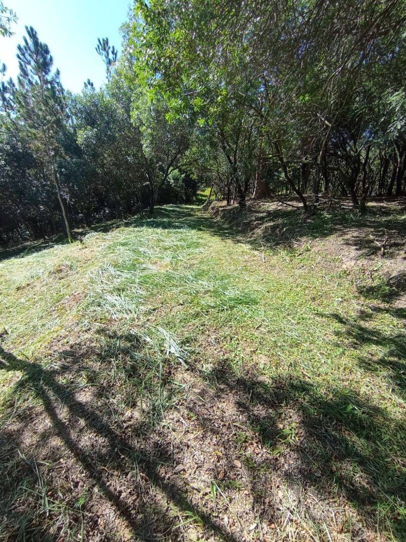 Terreno, 2 hectares - Foto 14