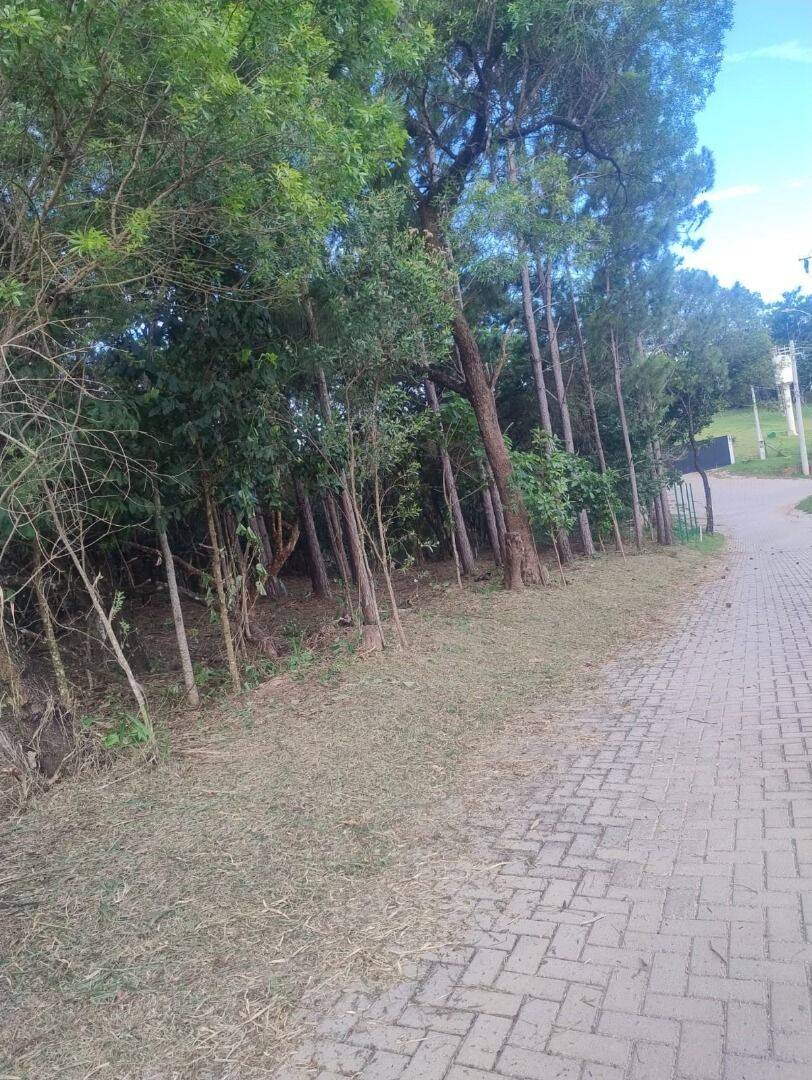 Terreno, 2 hectares - Foto 15