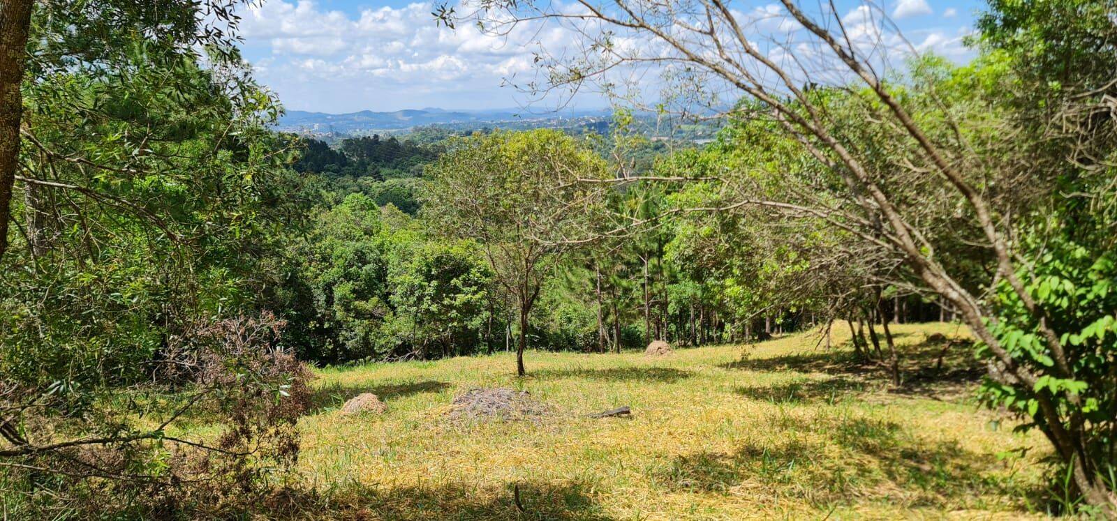 Terreno, 2 hectares - Foto 16