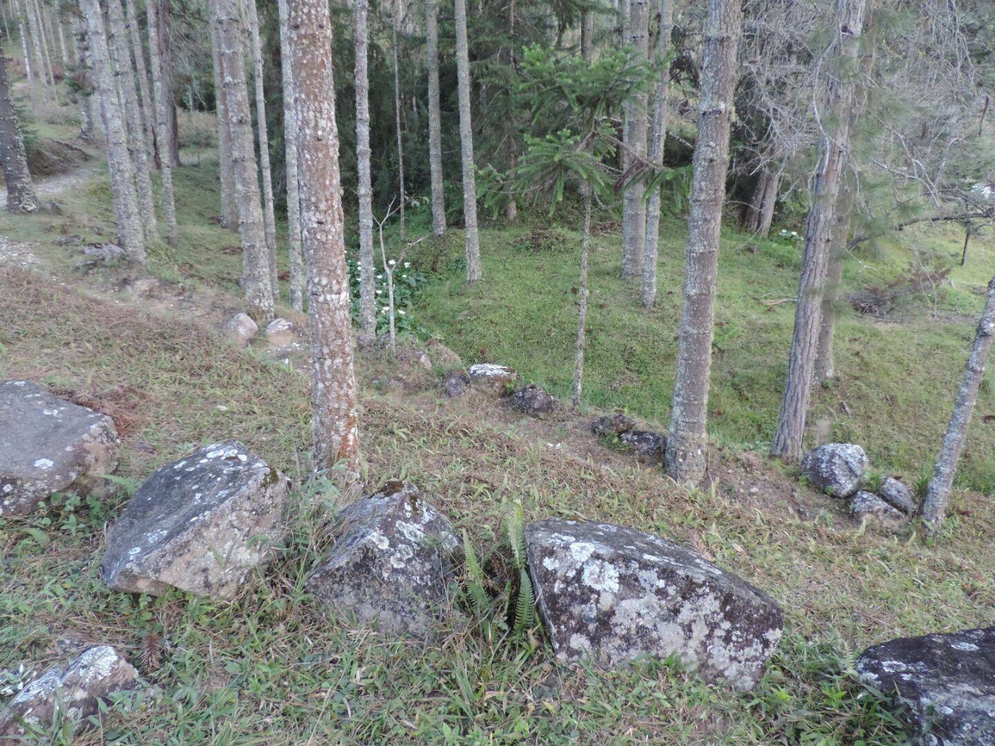 Sítio, 2 quartos, 100 hectares - Foto 2