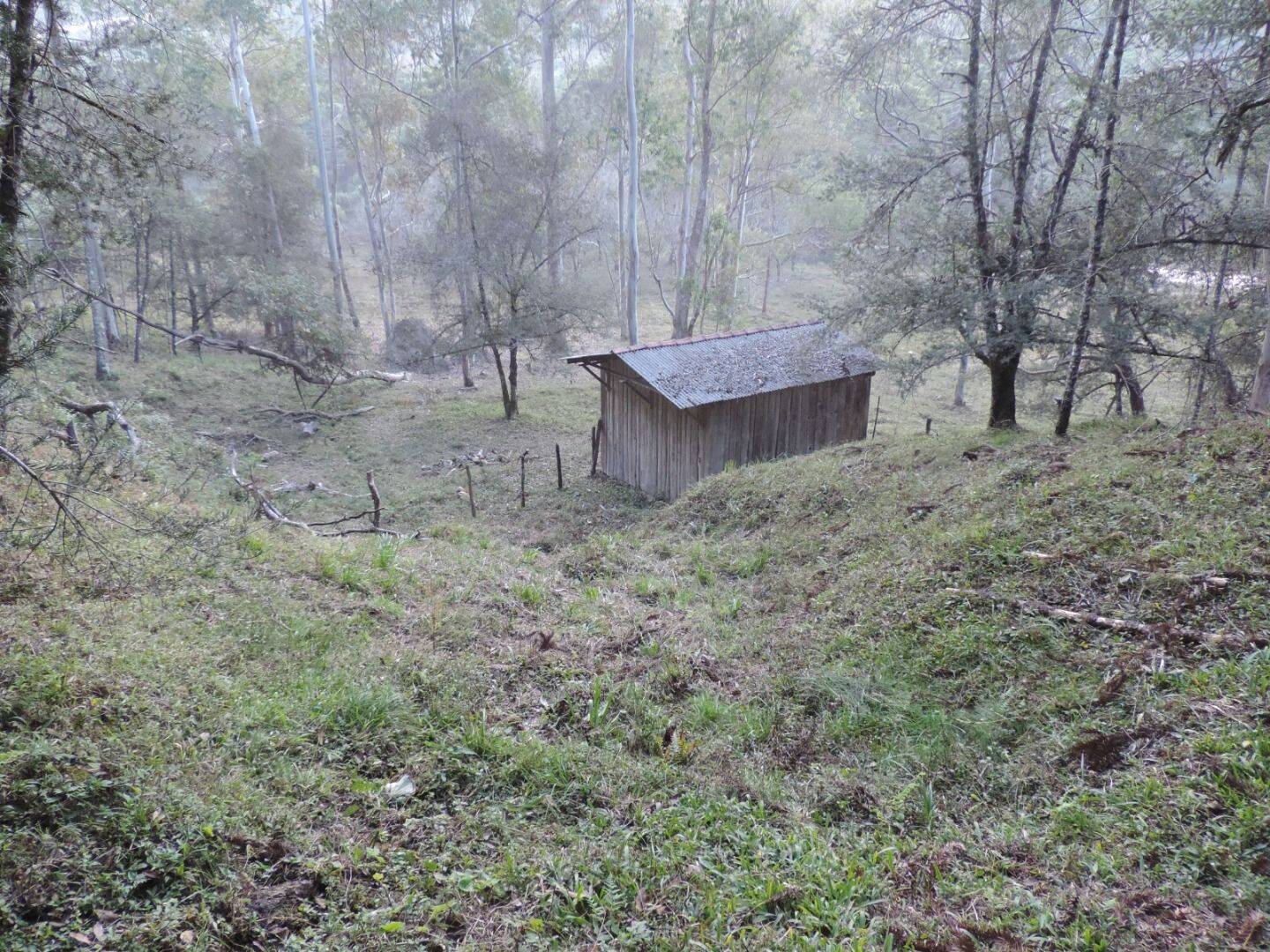 Sítio, 2 quartos, 100 hectares - Foto 4