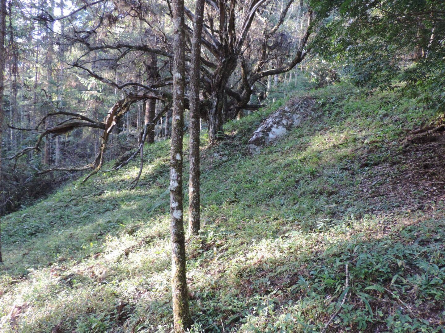 Sítio, 2 quartos, 100 hectares - Foto 15