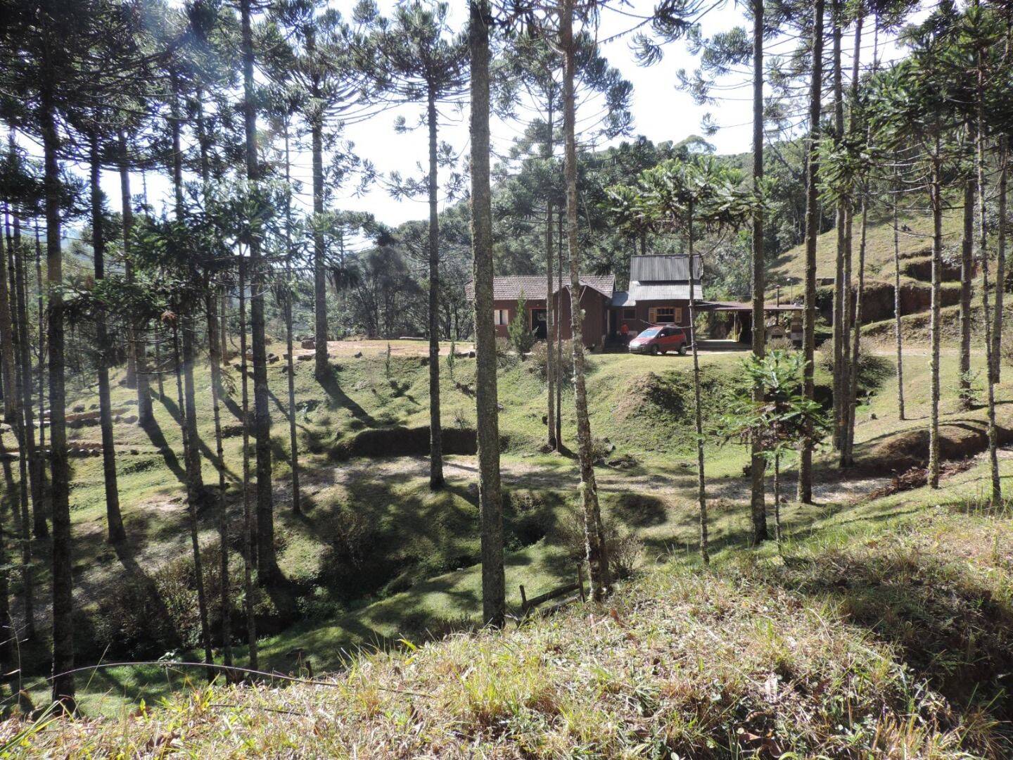 Sítio, 2 quartos, 100 hectares - Foto 19