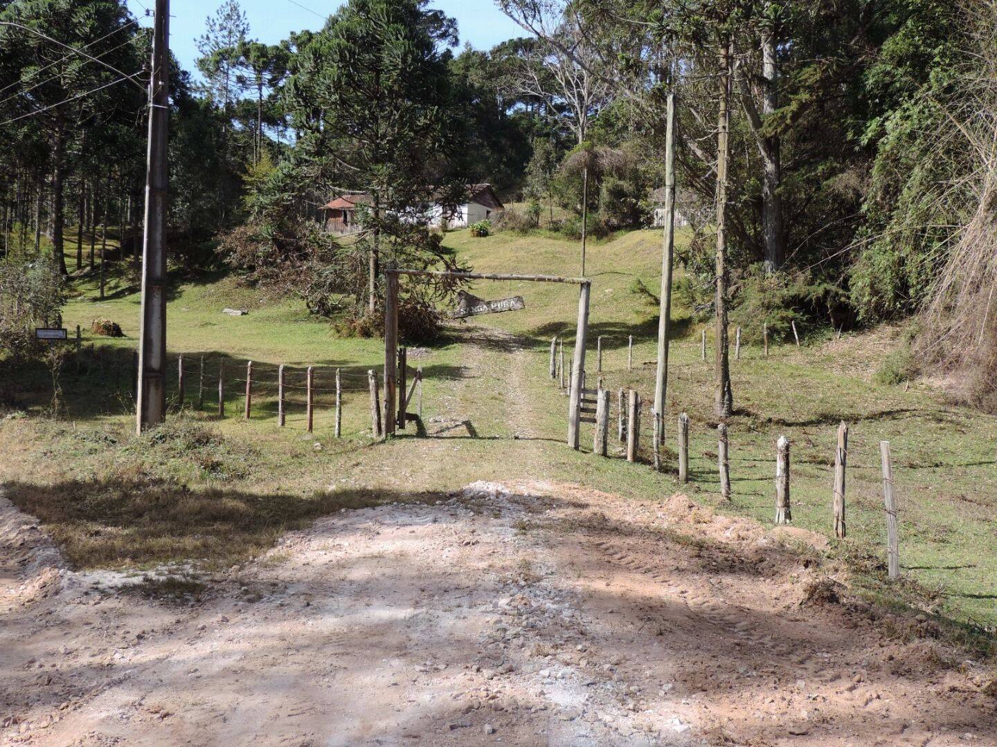 Sítio, 2 quartos, 100 hectares - Foto 21