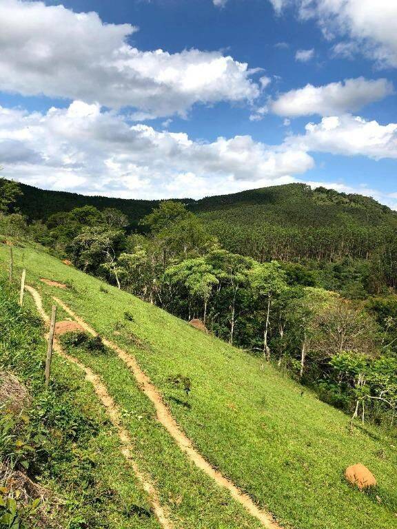 Terreno, 218 hectares - Foto 8
