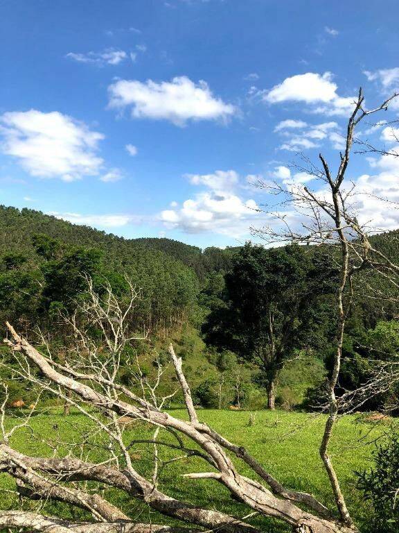 Terreno, 218 hectares - Foto 9