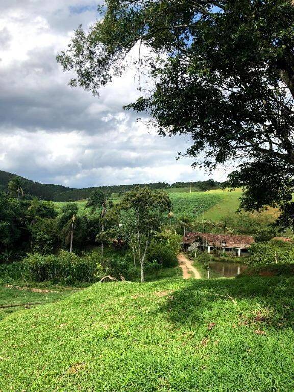 Terreno, 218 hectares - Foto 10