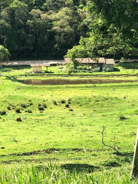 Terreno, 218 hectares - Foto 11