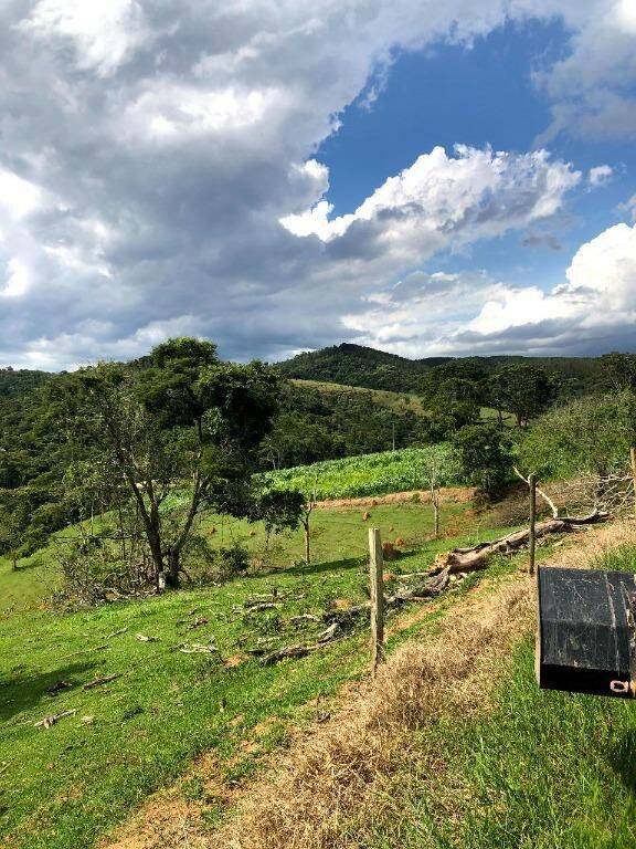 Terreno, 218 hectares - Foto 13