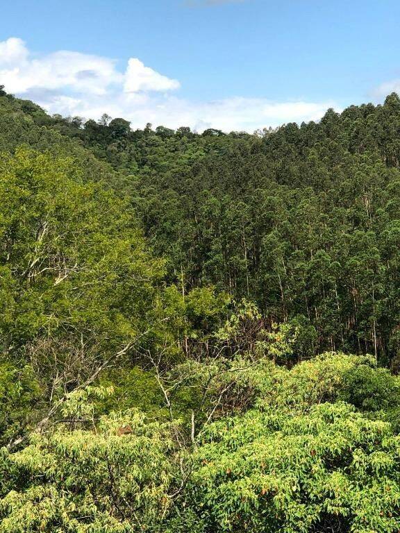 Terreno, 218 hectares - Foto 14