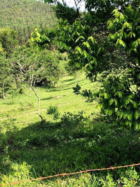 Terreno, 218 hectares - Foto 15