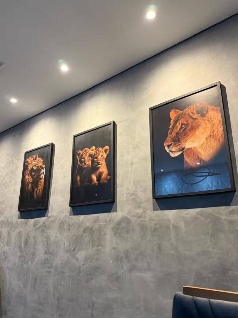 Chácara, 3 quartos, 540 m² - Foto 31