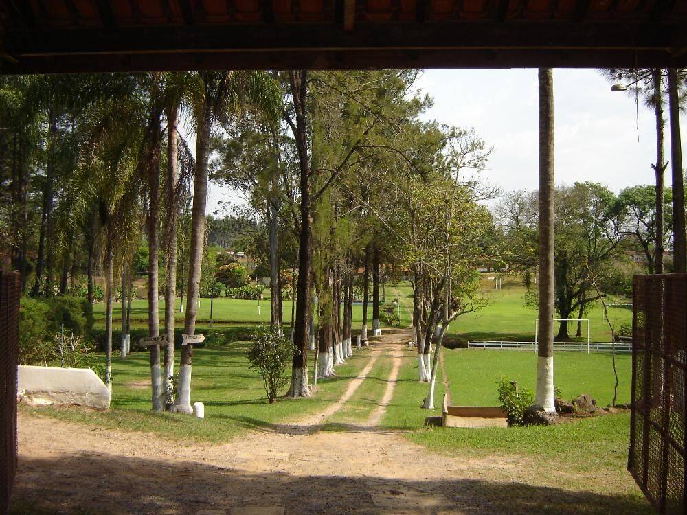 Sítio, 14 quartos, 3 hectares - Foto 24